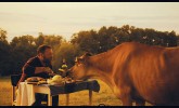 Sommer auf dem Land