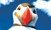 Happy Feet 2